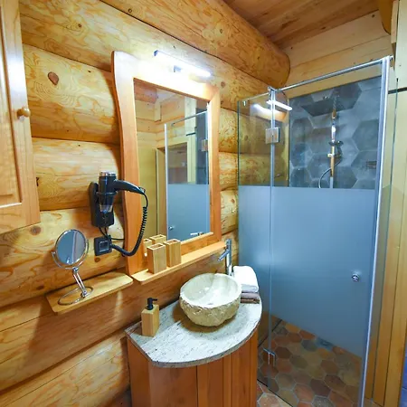 Luxury Log House
