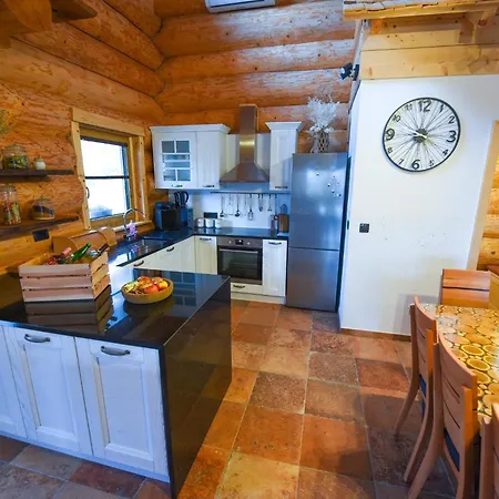 Villa Luxury Log House