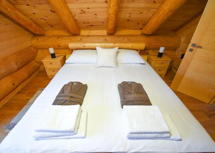 Luxury Log House Villa